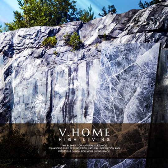 ออกแบบเว็บไซต์ V-Home