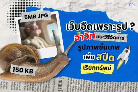 ขนาดรูปสำหรับเว็บไซต์-2