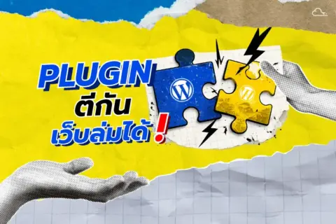 ปลั๊กอินตีกัน