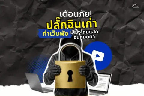 ปลั๊กอินไม่อัปเดต