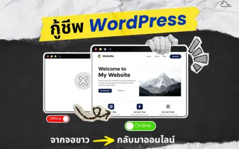 จอขาว เกิดจากอะไร