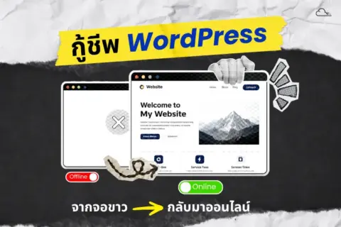 จอขาว เกิดจากอะไร