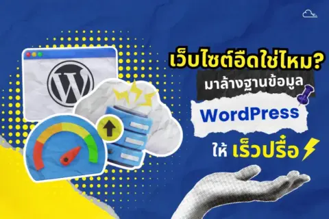 แก้เว็บช้า